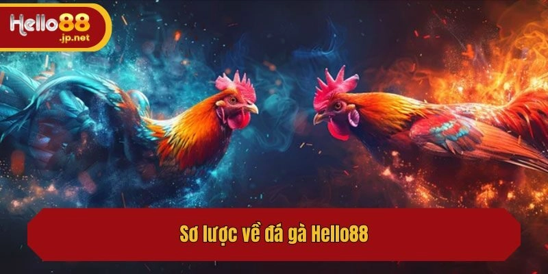 Sơ lược về đá gà Hello88