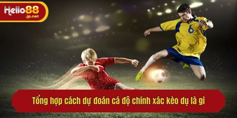 Tổng hợp cách dự đoán cá độ chính xác