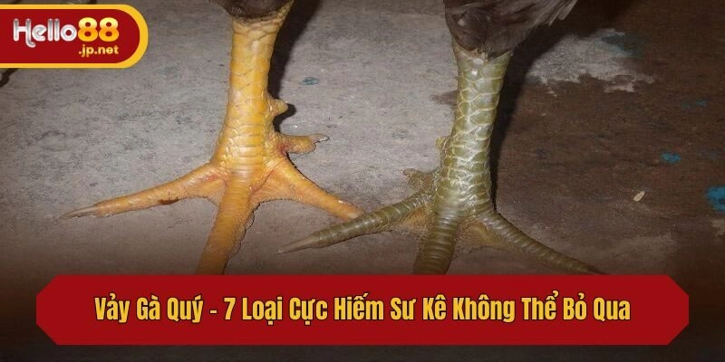 Vảy Gà Quý – 7 Loại Cực Hiếm Sư Kê Không Thể Bỏ Qua